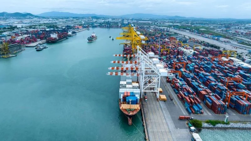 Shree Sanari Shipping Logistics